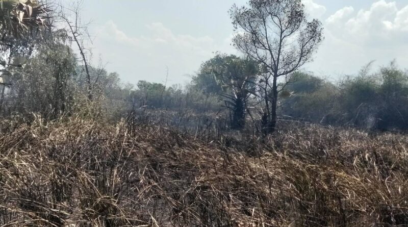 งานป้องกันและบรรเทาสาธารณภัย สำนักปลัด                 องค์การบริหารส่วนตำบลสวนหม่อน ได้รับแจ้งทาง ว.13 สถานที่เป็นบ้านโนนพยอมรับแจ้งว่าเนื่องจากมีไฟไหม้หนองสาธารณะผู้ใหญ่บ้านกลัวไฟลามเป็นวงกว้าง