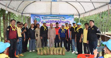 โครงการอบรมส่งเสริมการปลูกหญ้าแฝกตาม   พระราชดำริฯ ประจำปีงบประมาณ พ.ศ. 2569
